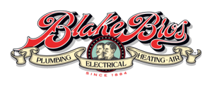 Blake (Brothers) AI voice text to speech and AI music cover generator
